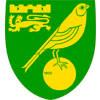 Norwich badge