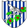 West Brom badge