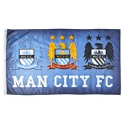 Manchester City College 5x3 Sky Flag