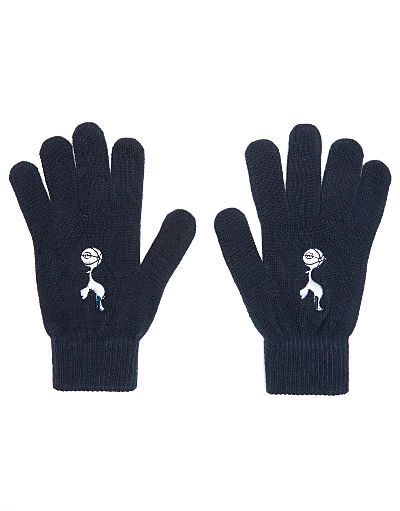 Official Team Tottenham Hotspur FC Gloves